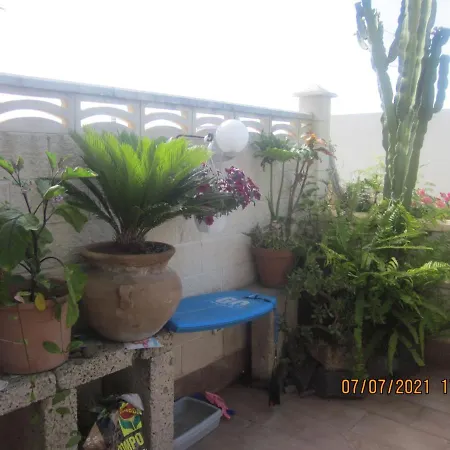 Terraced House Loft Bed With Infrared Sauna Cabin Or Sea View Dbl In Puerto De La Cruz *