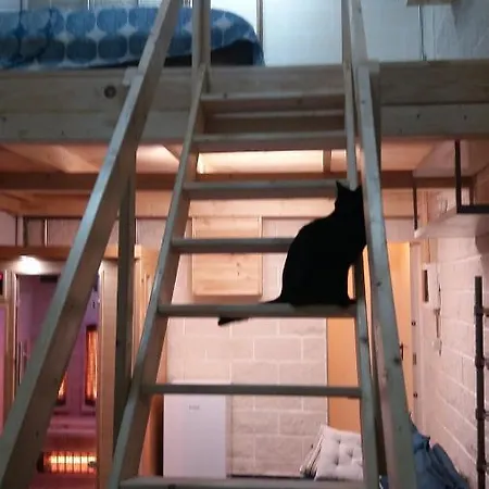 Homestay szállás Terraced House Loft Bed With Infrared Sauna Cabin Or Sea View Dbl In Puerto De La Cruz