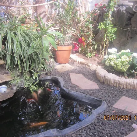 Homestay szállás Terraced House Loft Bed With Infrared Sauna Cabin Or Sea View Dbl In Puerto De La Cruz *